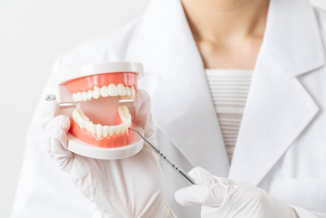 入れ歯に関する保険適用の考え方