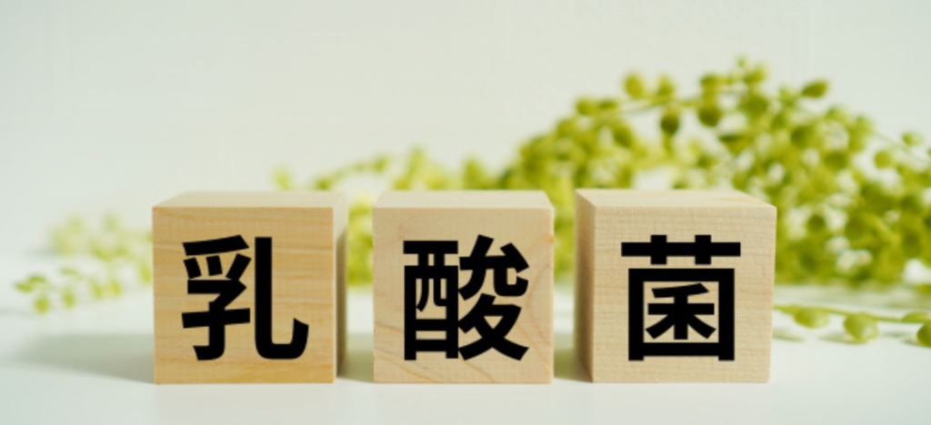 目的に合わせて選びたい！乳酸菌の代表的な5つの種類