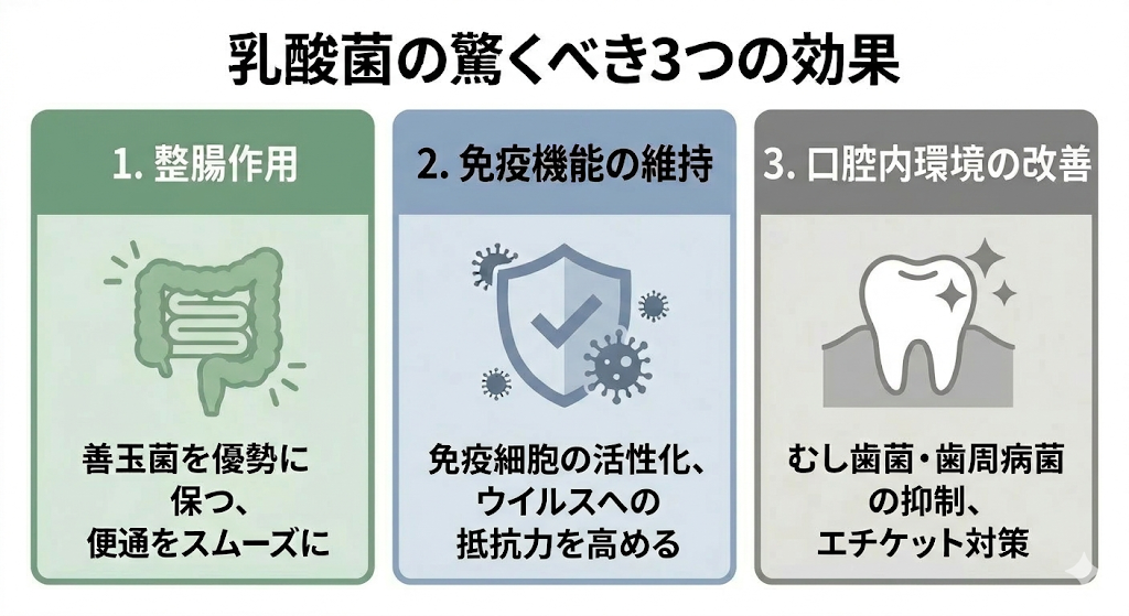 ◆乳酸菌の驚くべき3つの効果の概要図